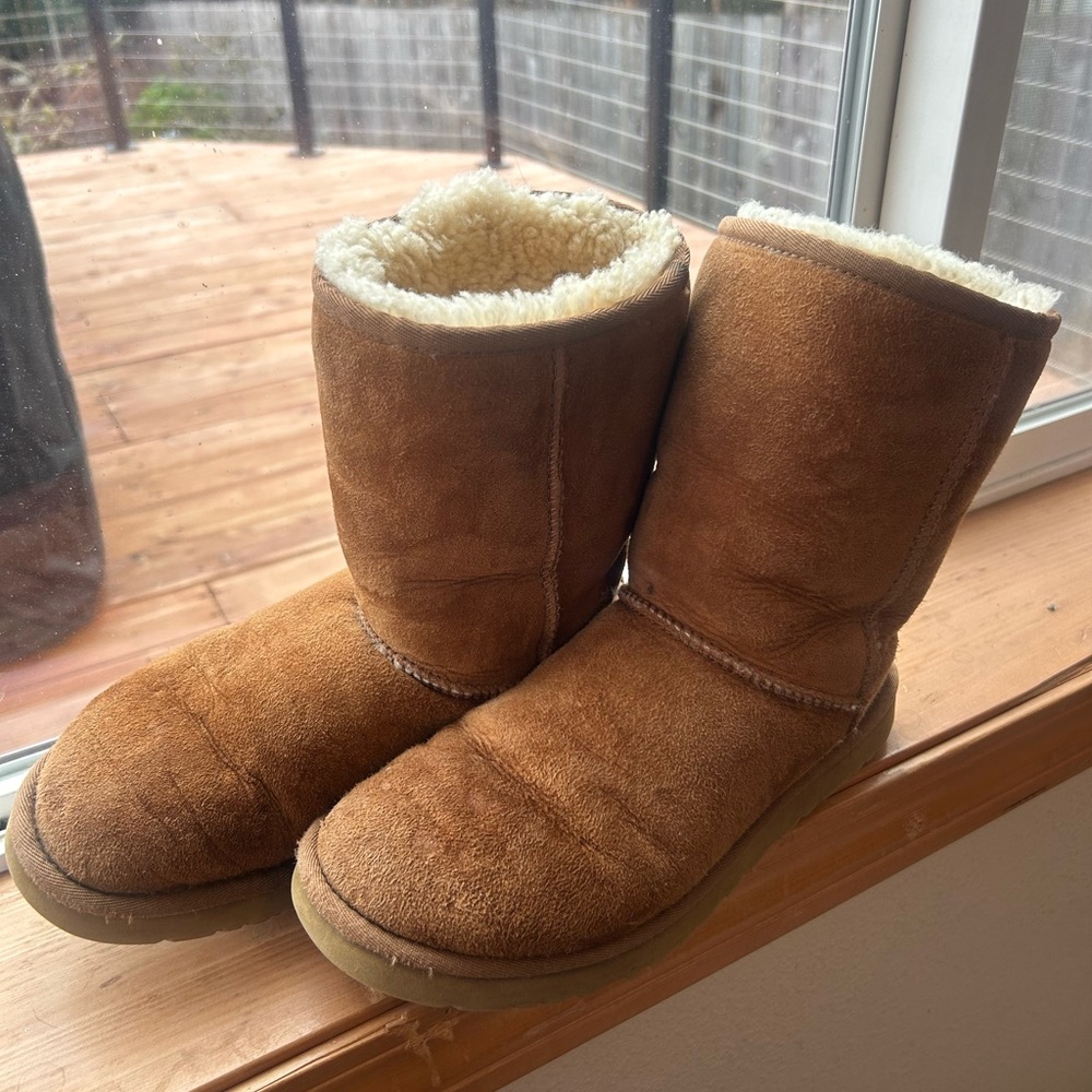 COPY - Chestnut Short II Uggs